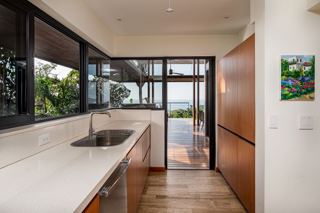 Indoor-Outdoor Kitchen