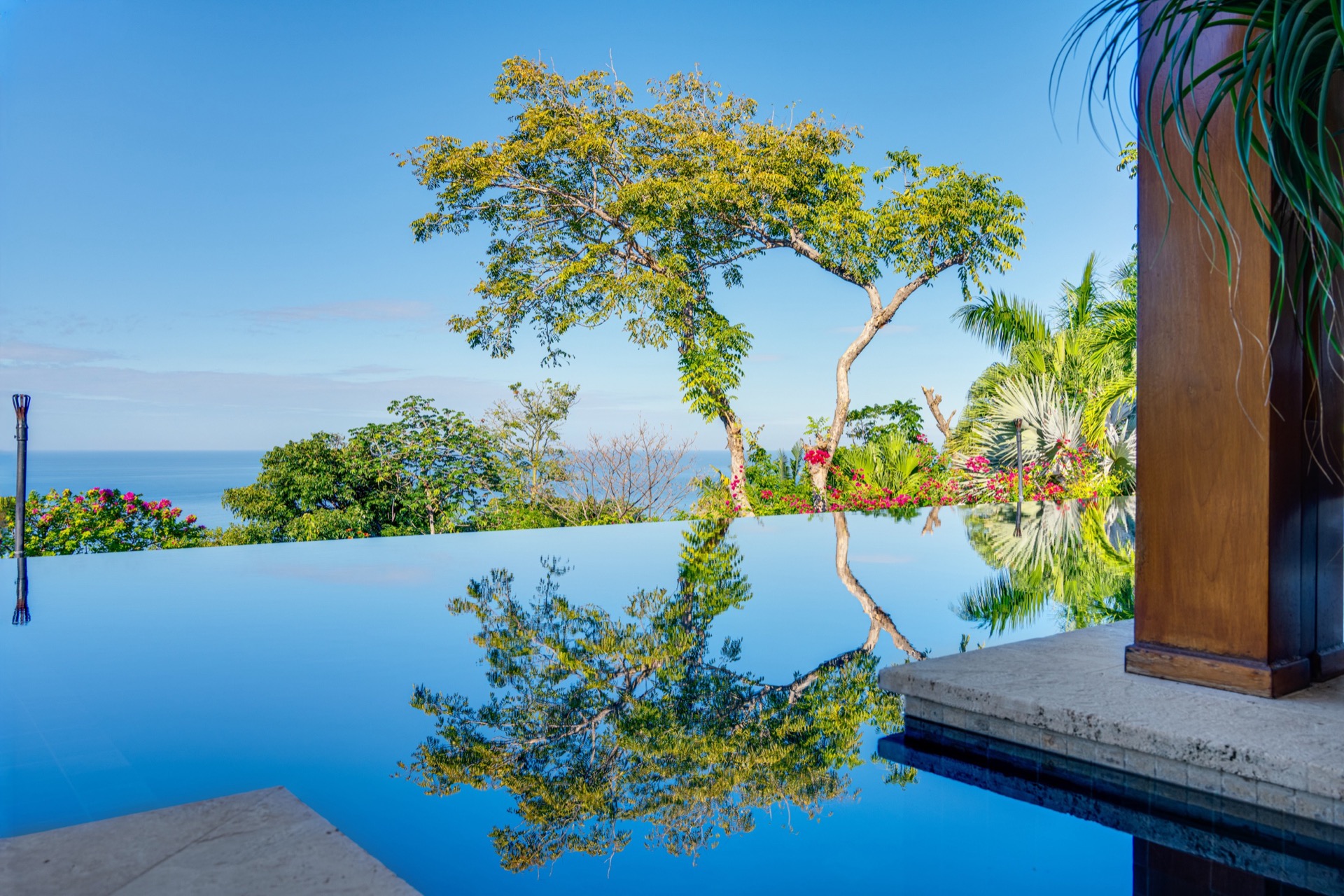 Pool — Wide Shot